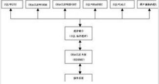 Oracle IF 后可以給多個條件嗎？計算機系統服務解析